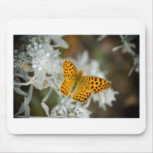 Orange and Black Spotted Butterfly Mouse Pad