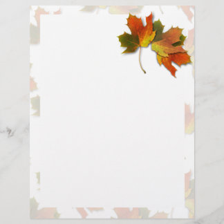 Orange And Golden  Autumn Leaves