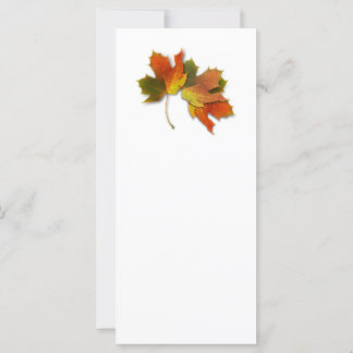 Orange And Golden  Autumn Leaves