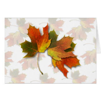 Orange And Golden Autumn Leaves Cards