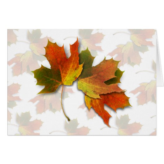 Orange And Golden  Autumn Leaves Cards (Front Horizontal)