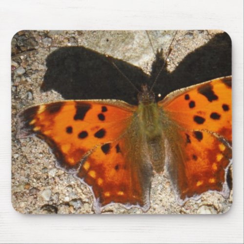 Orange and green butterfly mouse pad