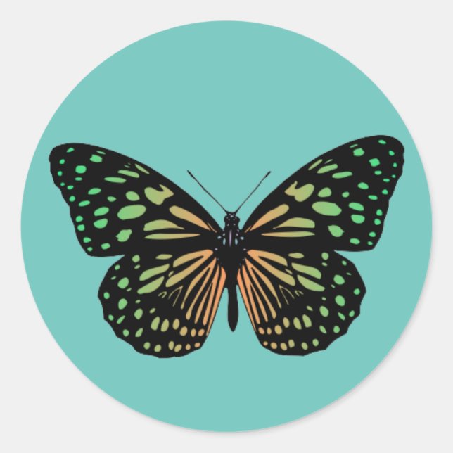 Orange And Green Spotted Butterfly Classic Round Sticker (Front)