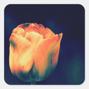 Orange and Green Tulips *Customize* Square Sticker
