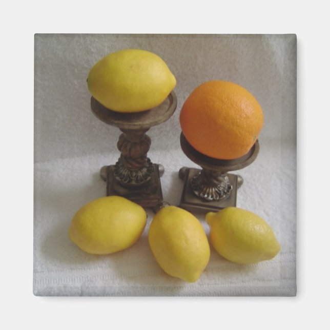 Orange and Lemons Magnet (Front)