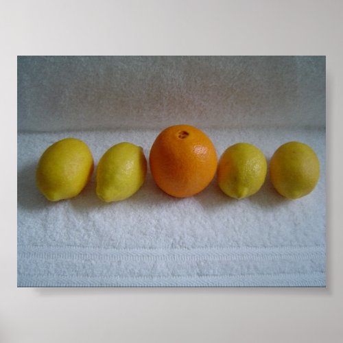 Orange and Lemons Poster