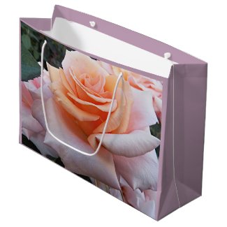 Orange and Pink Mauve Rose Floral Large