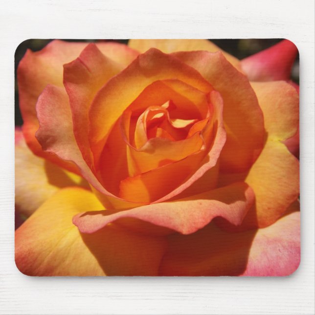 Orange and Pink Rose Mouse Pad (Front)