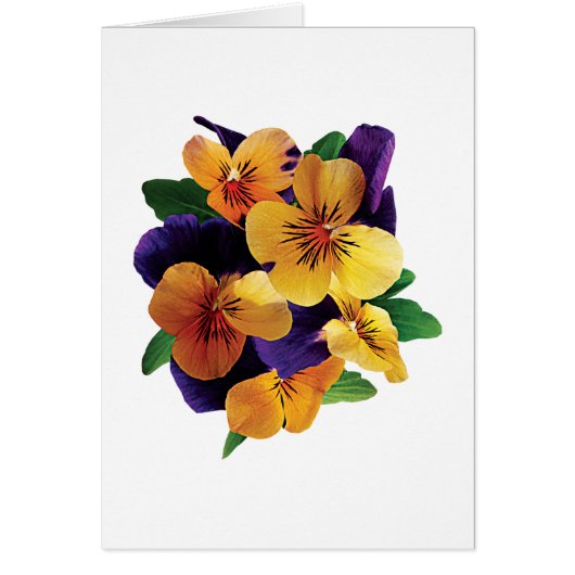 Orange and Purple Pansies (Front)