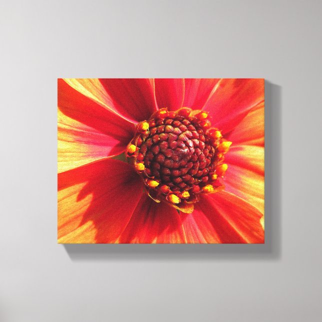 Orange and Red Dahlia Canvas Print (Front)