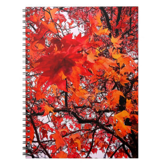 Orange and red leaves notebook