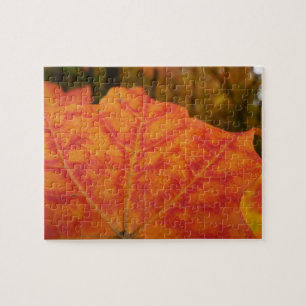 Orange and Red Maple Leaf Abstract Autumn Nature Jigsaw Puzzle