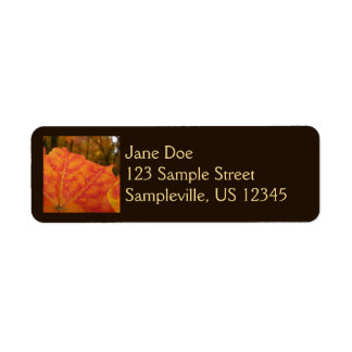 Orange and Red Maple Leaf Abstract Autumn Nature Label