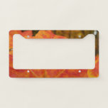 Orange and Red Maple Leaf Abstract Autumn Nature License Plate Frame