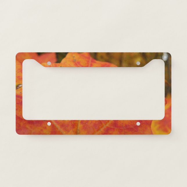Orange and Red Maple Leaf Abstract Autumn Nature License Plate Frame (Front)