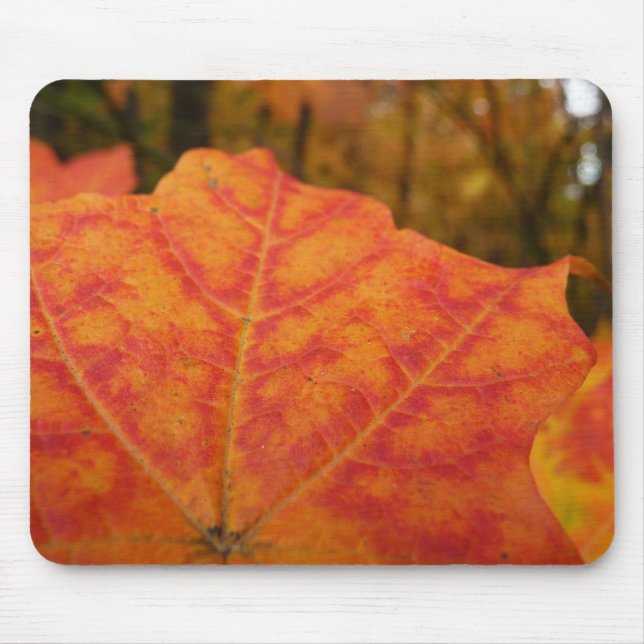 Orange and Red Maple Leaf Abstract Autumn Nature Mouse Pad (Front)