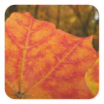 Orange and Red Maple Leaf Abstract Autumn Nature Square Sticker