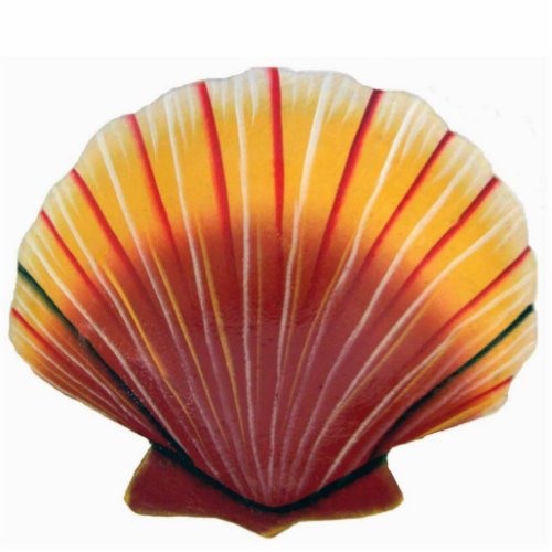 Orange and Red Scallop Shell Magnet