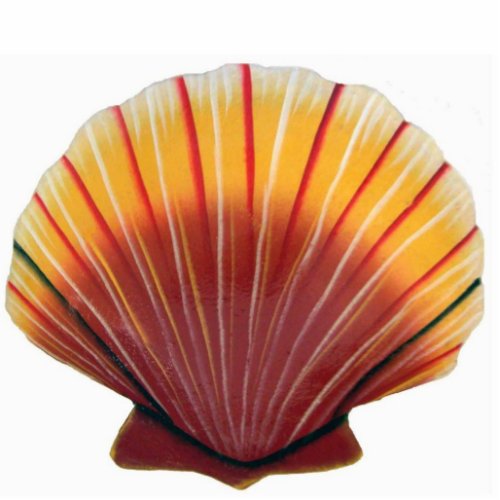 Orange and Red Scallop Shell Sculpture