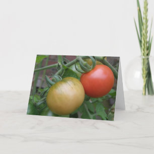 Orange and Red Tomatoes Greeting Card
