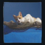 Orange And White Cat Bandana<br><div class="desc">An orange and white cat decorates this lovely bandana</div>