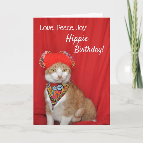 Orange and white cat Hippy Birthday card