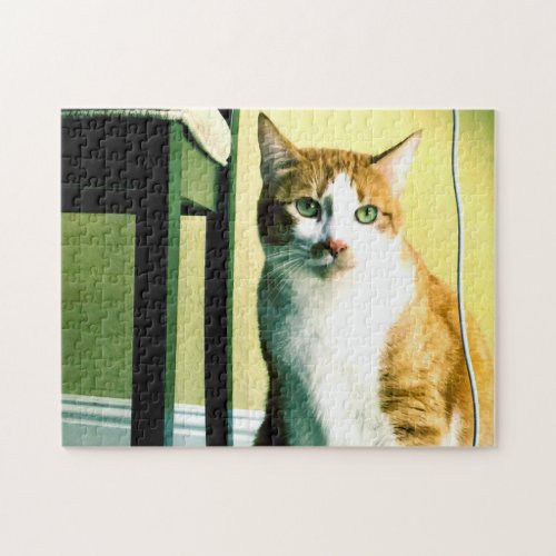 Orange and white cat with chair jigsaw puzzle