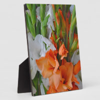 Orange and white gladiola flowers plaque