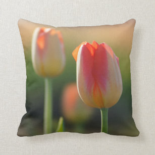 Orange and white mixed tulips  throw pillow