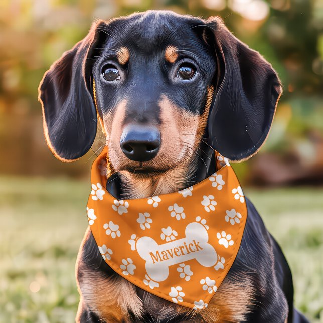 Orange And White Paw Print Dog Bone Custom Name Pet Bandana Collar (Creator Uploaded)