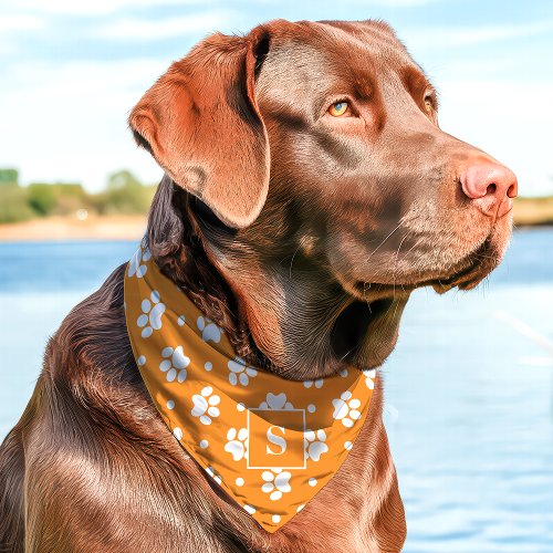 Orange And White Polka Dot Paw Print Monogram Pet Bandana Collar