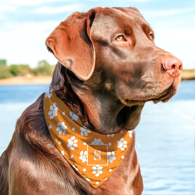 Orange And White Polka Dot Paw Print Monogram Pet Bandana Collar (Creator Uploaded)