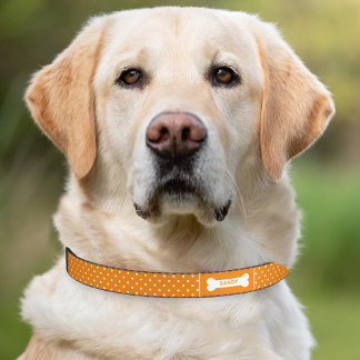 Orange And White Polka Dots With Bone &amp; Name Pet Collar
