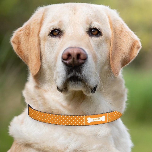 Orange And White Polka Dots With Bone & Name Pet Collar (Please note: This image is a digital mockup. The product may not be in scale.)