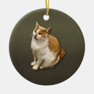 Orange and White Short Haired Cat Ceramic Ornament