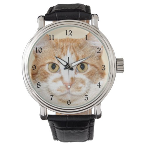 Orange and white tabby face watch