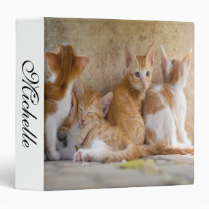 Orange and White Tabby Kitten/Add Your Pet's Photo 3 Ring Binder