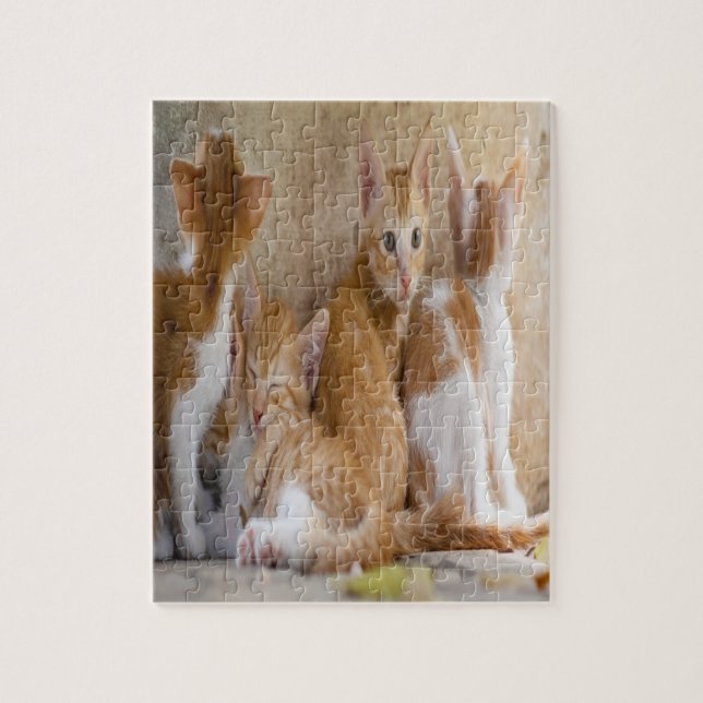 Orange and White Tabby Kitten/Add Your Pet's Photo Jigsaw Puzzle (Vertical)