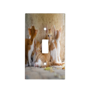 Orange and White Tabby Kitten/Add Your Pet's Photo Light Switch Cover