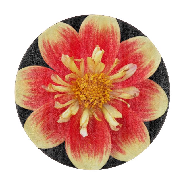 Orange and Yellow Collarette Dahlia Floral Cutting Board (Front)