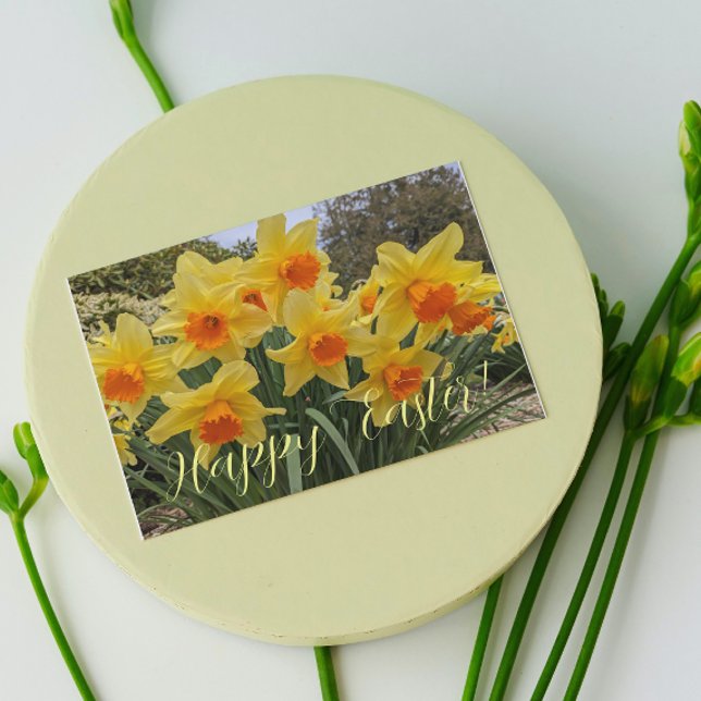 Orange and Yellow Daffodils Floral Easter Holiday Card (In Situ)
