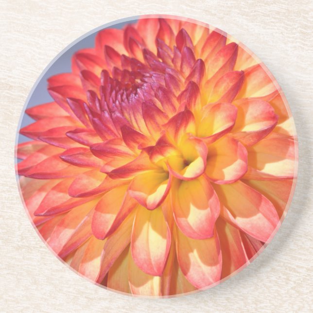 Orange and yellow dahlia coaster (Front)