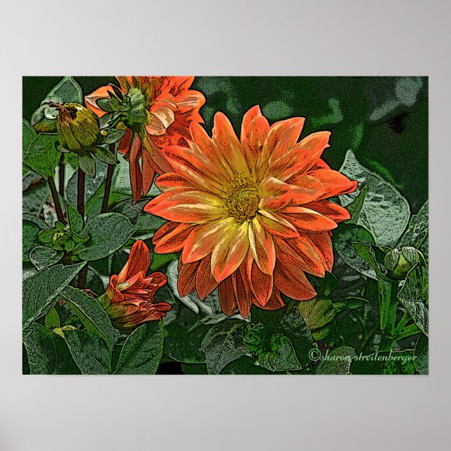 "ORANGE AND YELLOW DAHLIA" POSTER (Front)