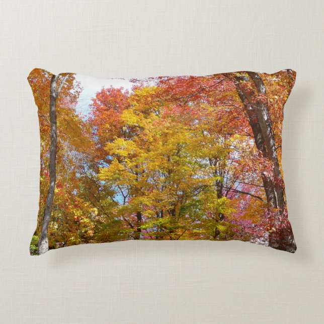 Orange and Yellow Fall Trees Autumn Photography Accent Pillow (Front)