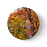 Orange and Yellow Fall Trees Autumn Photography Button