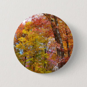 Orange and Yellow Fall Trees Autumn Photography Button