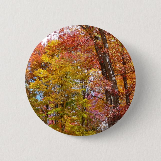Orange and Yellow Fall Trees Autumn Photography Button (Front)