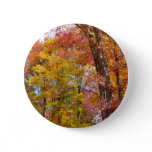 Orange and Yellow Fall Trees Autumn Photography Button