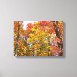 Orange and Yellow Fall Trees Autumn Photography Canvas Print