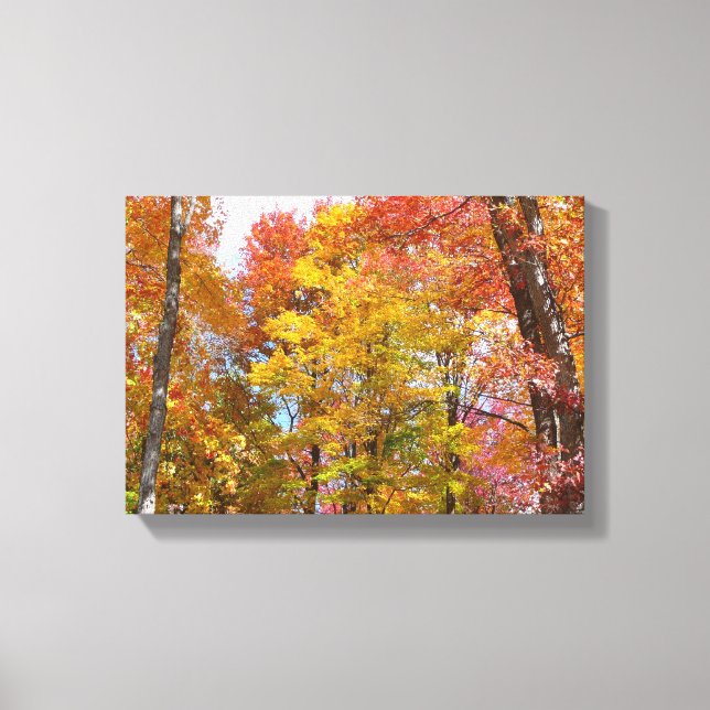Orange and Yellow Fall Trees Autumn Photography Canvas Print (Front)